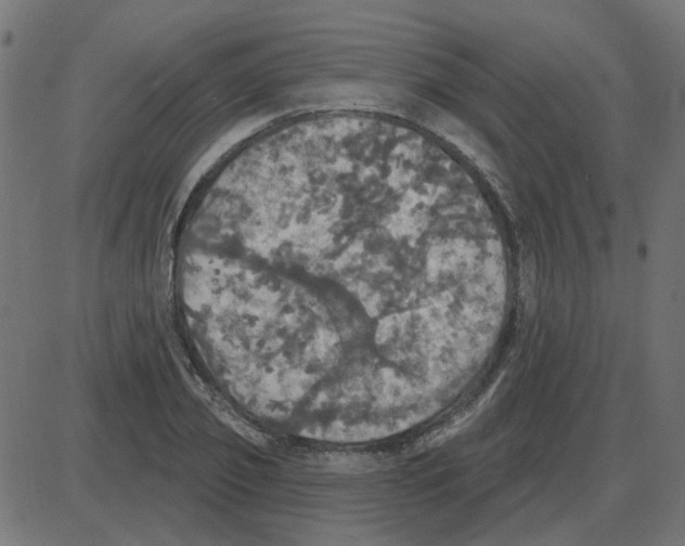 X0000087410933200705181354