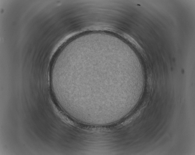 X0000087410934200705181354