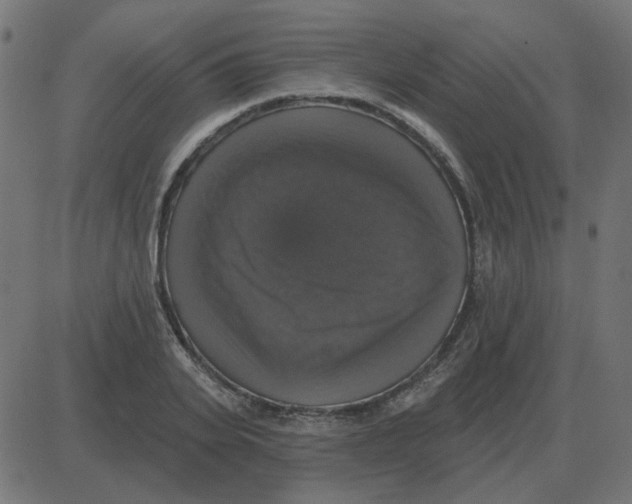 X0000087410935200705181354