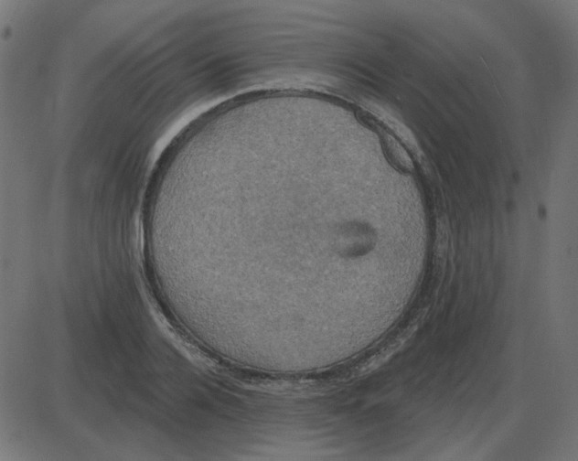 X0000087410936200705181354