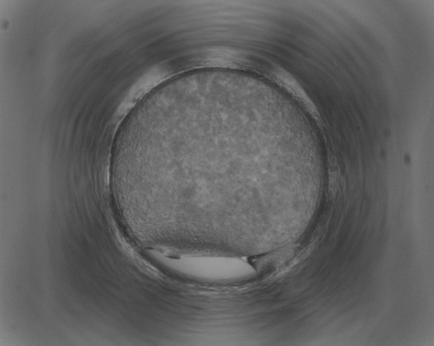 X0000087410938200705181354