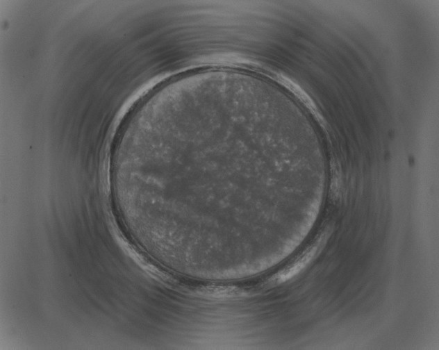 X0000087410939200705181354