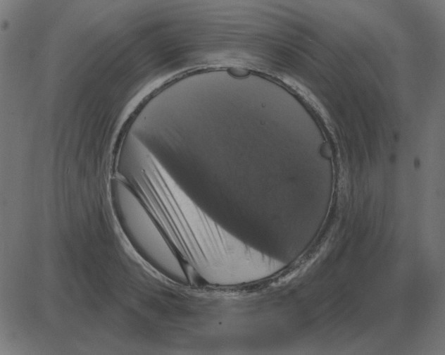 X0000087410941200705181354