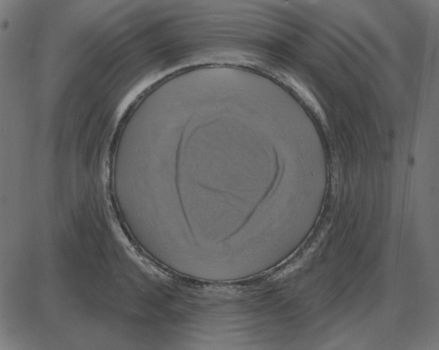 X0000087410944200705181354