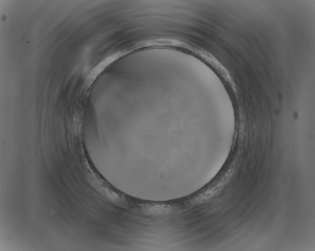 X0000087410945200705181354