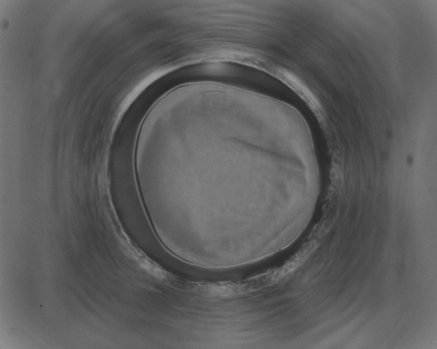 X0000087410948200705181354