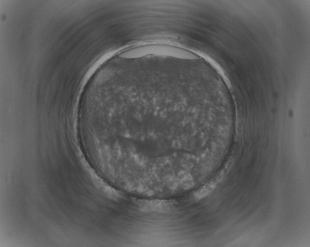 X0000087410949200705181354