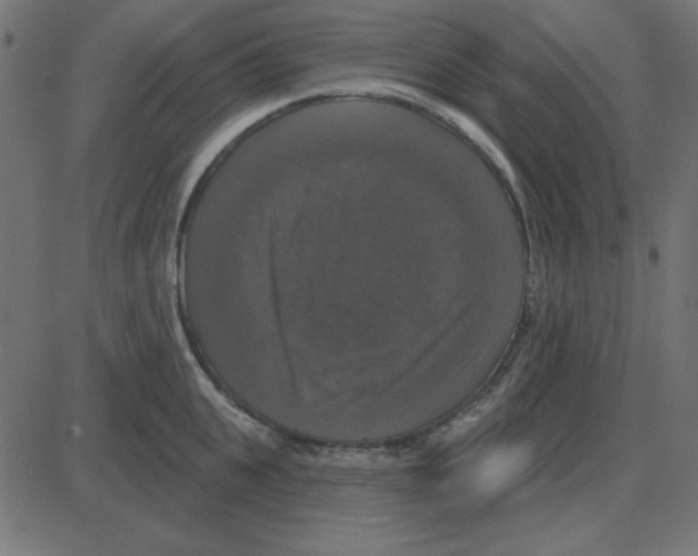 X0000087410951200705181354