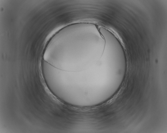 X0000087410952200705181354