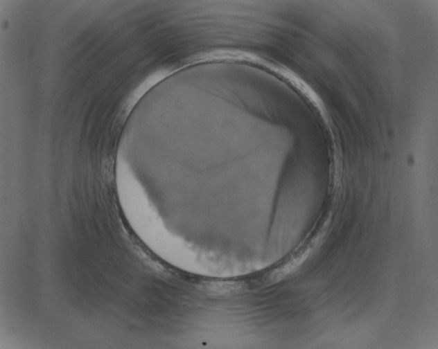 X0000087410953200705181354