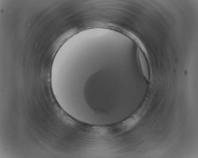 X0000087410954200705181354