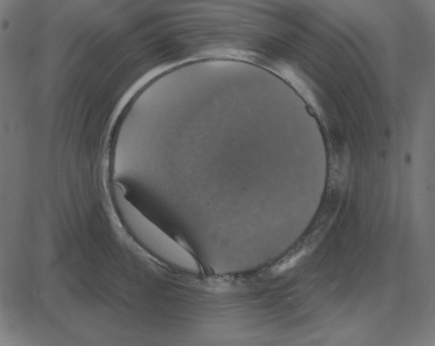 X0000087410955200705181354