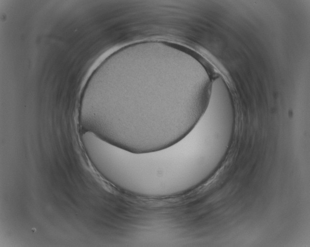 X0000087410956200705181354