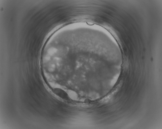 X0000087410957200705181354