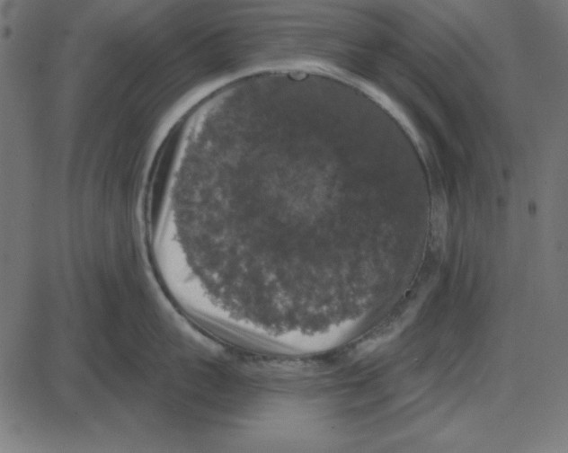 X0000087410959200705181354