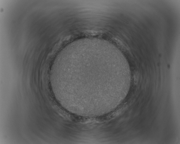 X0000087410961200705181353