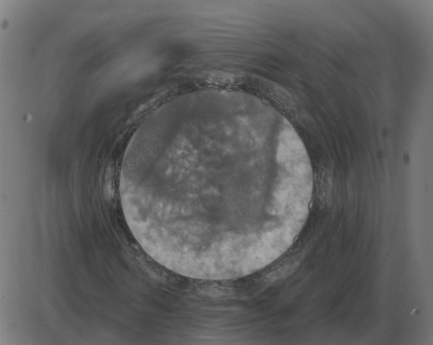 X0000087410962200705181353