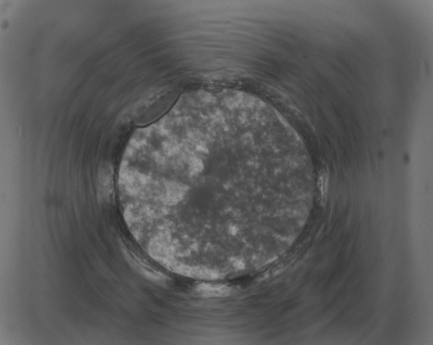 X0000087410963200705181353