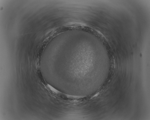 X0000087410965200705181353