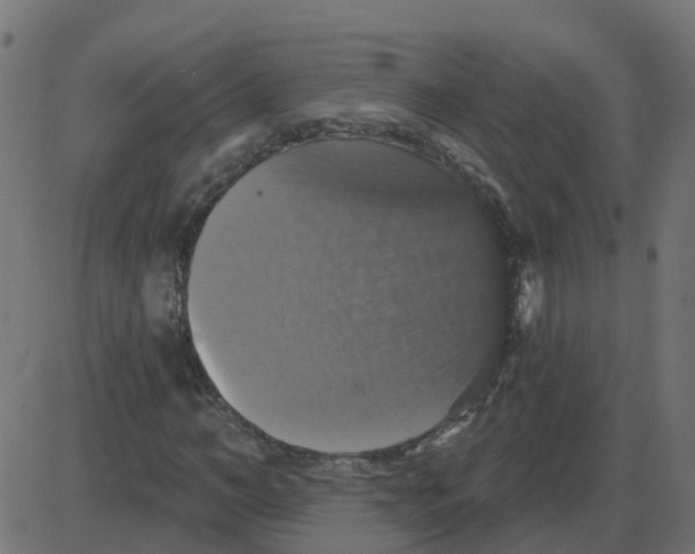 X0000087410966200705181353