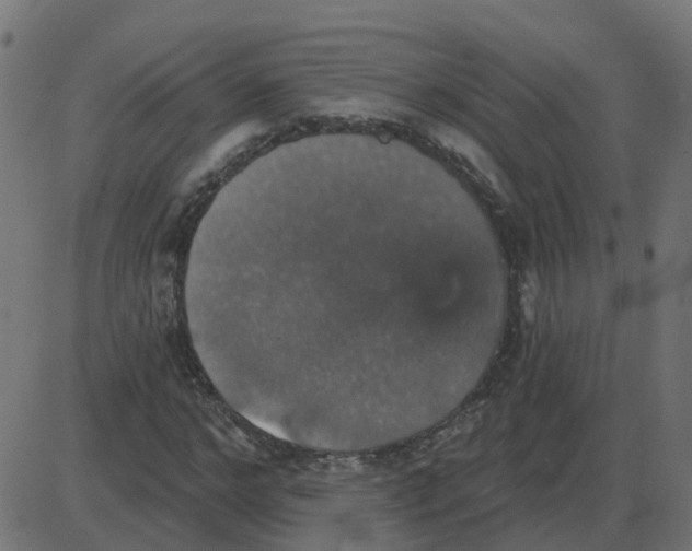 X0000087410968200705181353