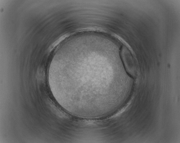 X0000087410969200705181353