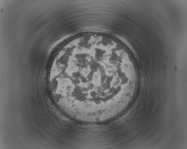 X0000087410971200705181353