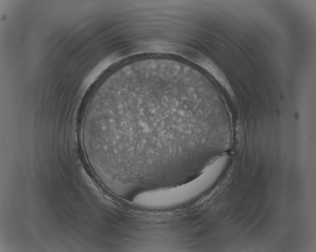 X0000087410972200705181353