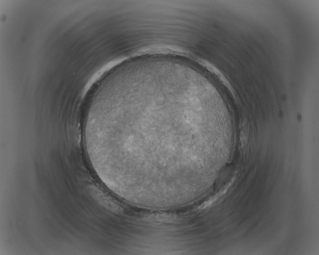 X0000087410973200705181353