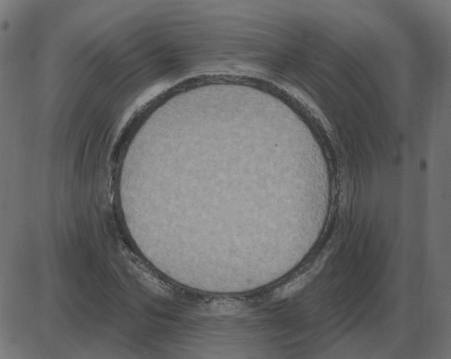 X0000087410974200705181353