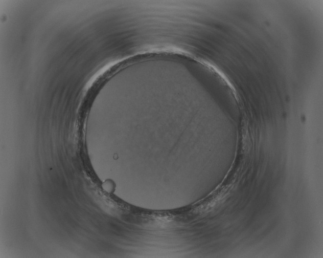 X0000087410975200705181353