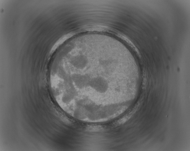 X0000087410978200705181353