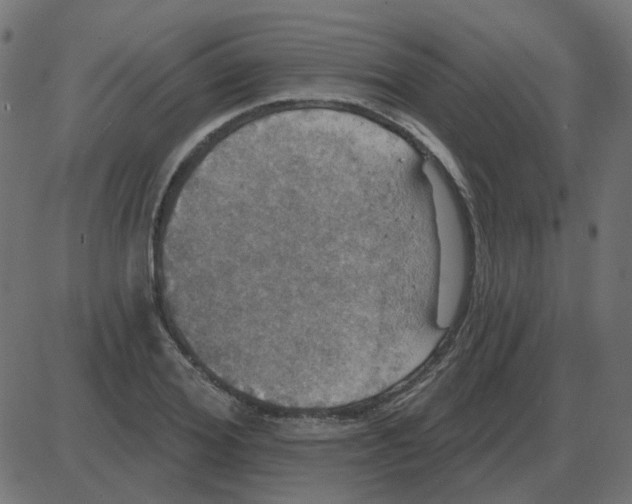 X0000087410980200705181353