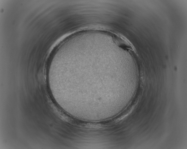 X0000087410981200705181353