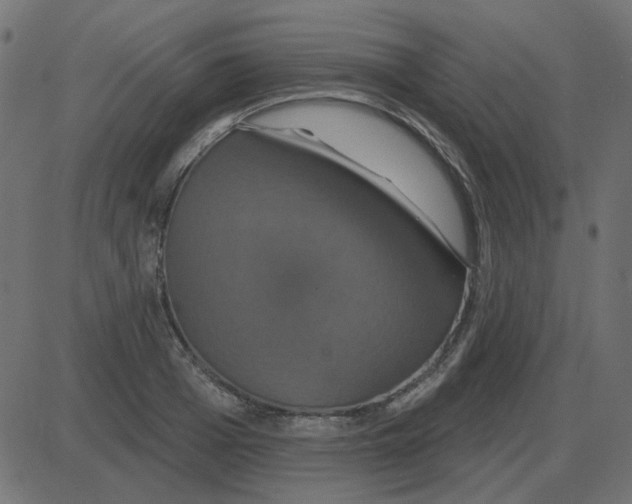 X0000087410985200705181353