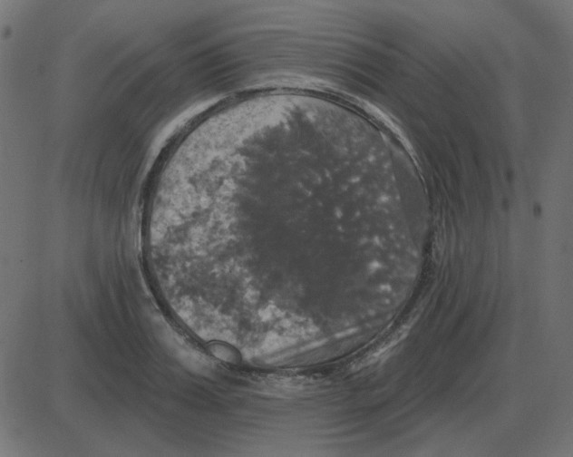 X0000087410987200705181353