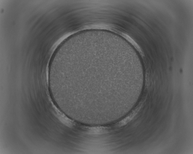 X0000087410988200705181353