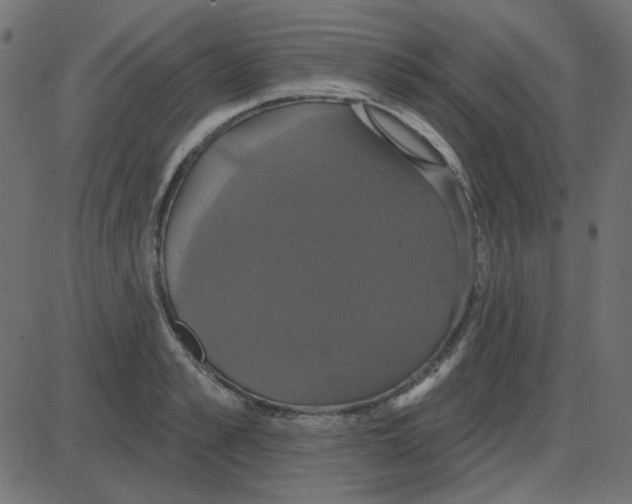 X0000087410989200705181353