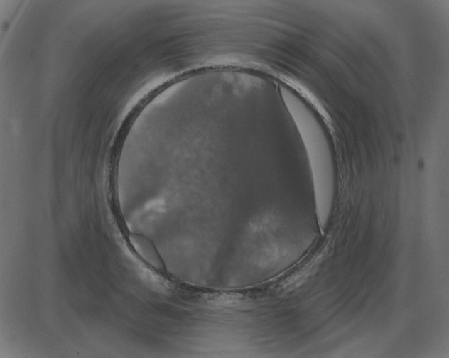 X0000087410991200705181353