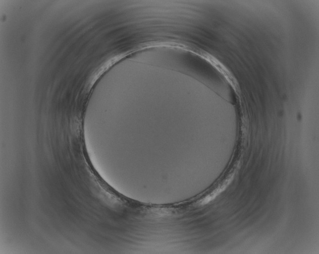 X0000087410993200705181353