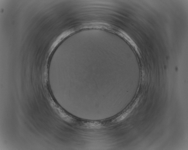 X0000087410994200705181353