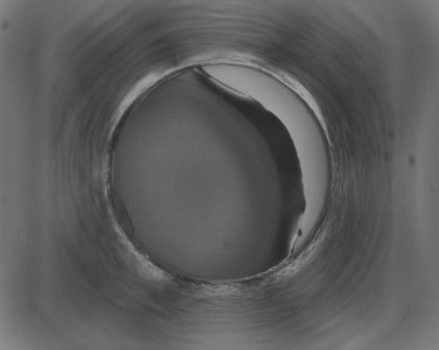 X0000087410997200705181353