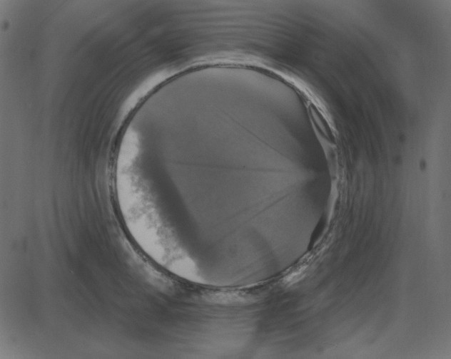 X0000087410998200705181353