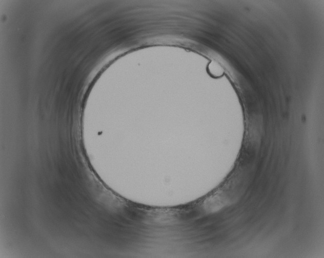 X0000087411000200705181353