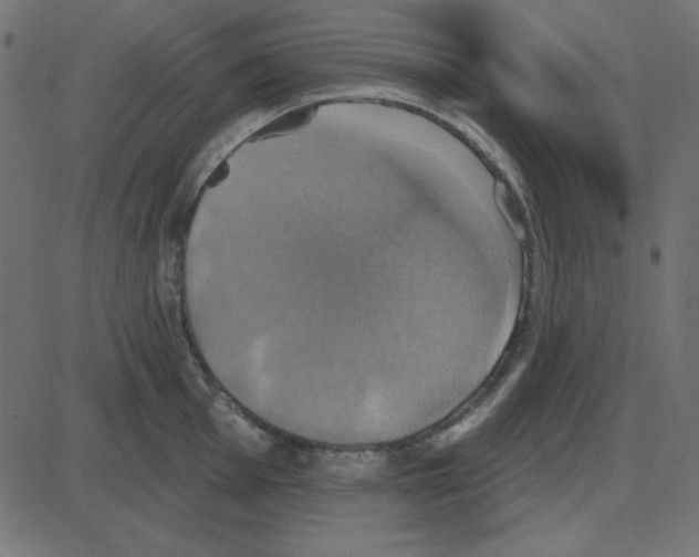 X0000087411001200705181353