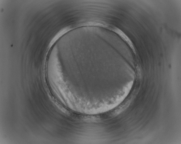 X0000087411002200705181353