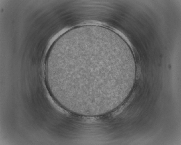 X0000087411003200705181353