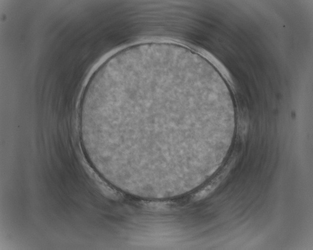 X0000087411004200705181353