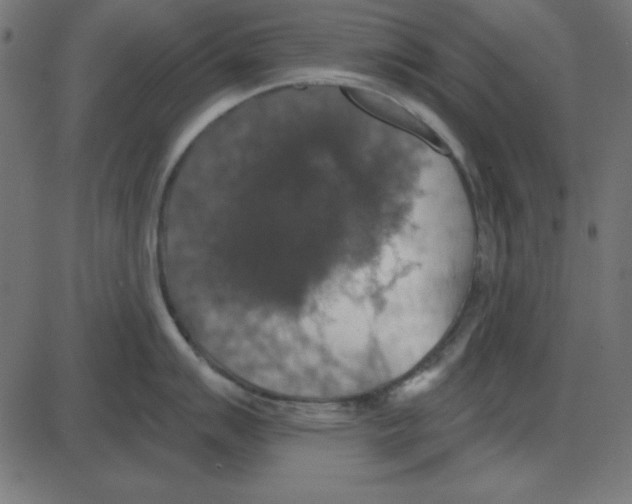 X0000087411007200705181353