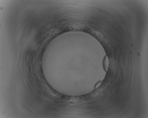 X0000087411009200705181352